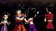 Caulifla conoce a Goku