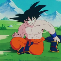 Weighted Clothing Dragon Ball Wiki Fandom