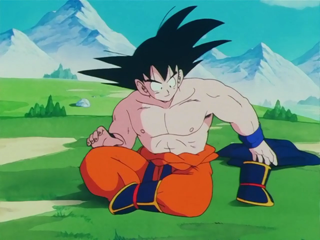 Weighted Clothing Dragon Ball Wiki Fandom - dragon ball z online legends goku pants roblox