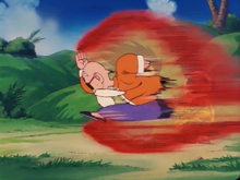 Muten Roshi cours