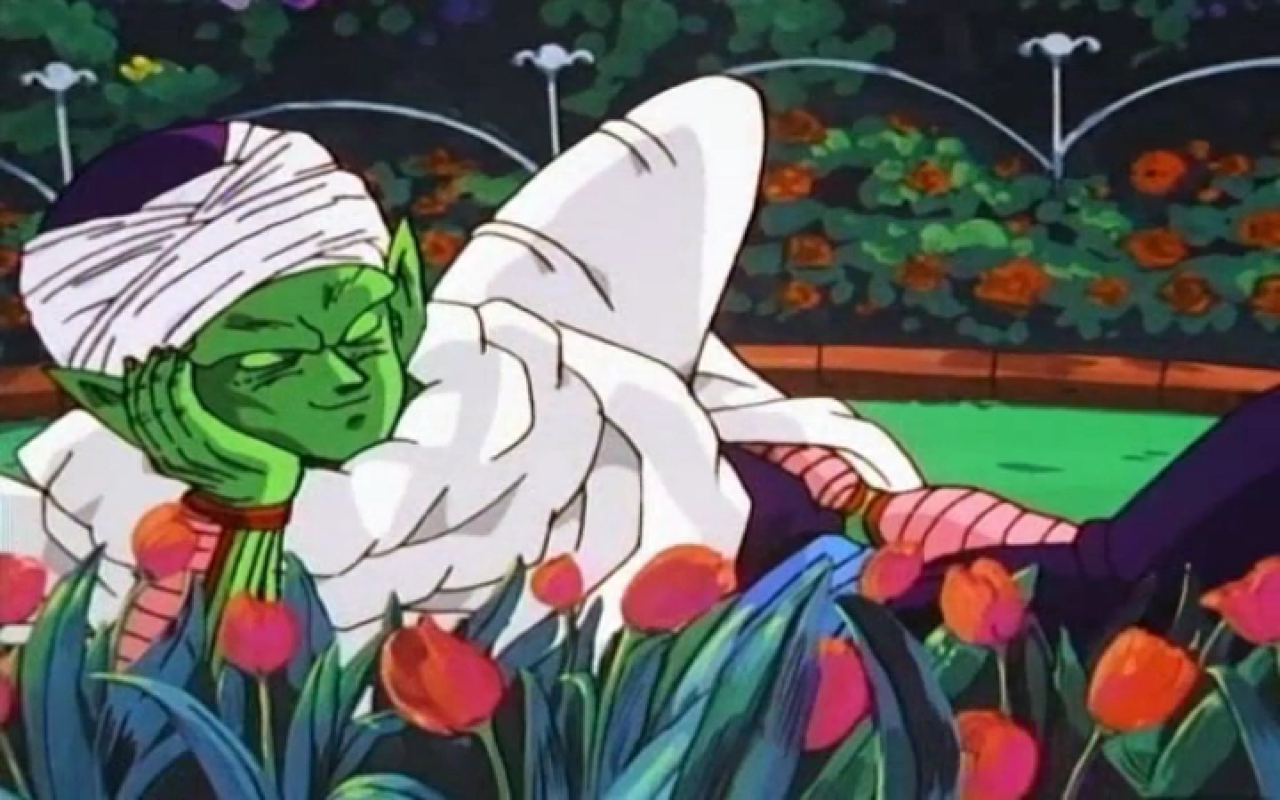 Image PiccoloSleeping(Ep288).png Dragon Ball Wiki FANDOM powered