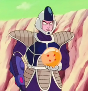 Raspberry DBZ
