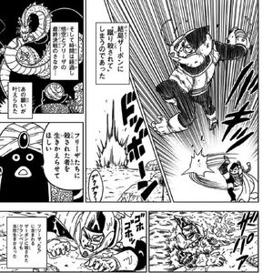 Cranberry Dragon Ball Wiki Fandom