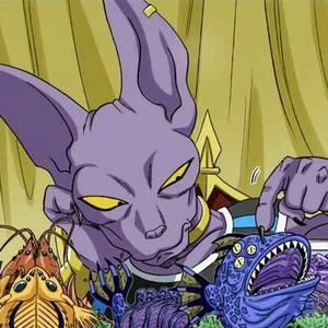 Beerus Gallery Dragon Ball Wiki Fandom