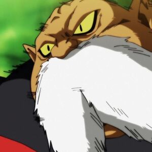 Top Gallery Dragon Ball Wiki Fandom
