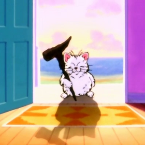 Karin Wiki Dragon Ball Fandom
