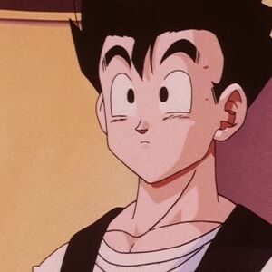 Gohan S First Date Dragon Ball Wiki Fandom