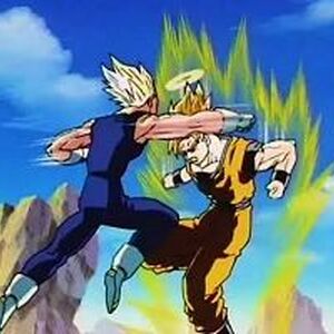 The Long Awaited Fight Dragon Ball Wiki Fandom