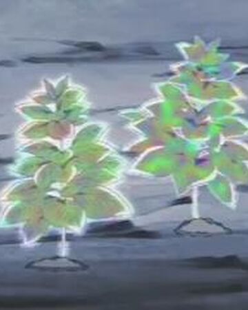 Paradise Herb Dragon Ball Wiki Fandom
