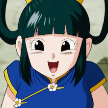 A Mysterious Beauty Appears The Enigma Of The Tien Shin Style Dojo Dragon Ball Wiki Fandom