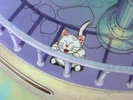 Korin.Ep.11.DBZKai.png (781 KB) Korin.Ep.11.DBZKai