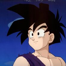 孫悟飯 Dragon Ball Wiki Fandom