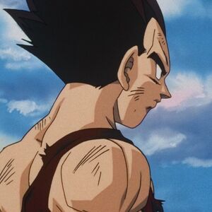 Until We Meet Again Dragon Ball Wiki Fandom
