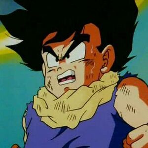 Brief Chance For Victory Dragon Ball Wiki Fandom