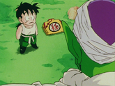 GohanTrainingWithPiccolo 2