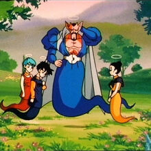 Heaven Dragon Ball Wiki Fandom