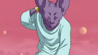 Beerus Dragon Ball Wiki Fandom