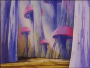MushroomForest2