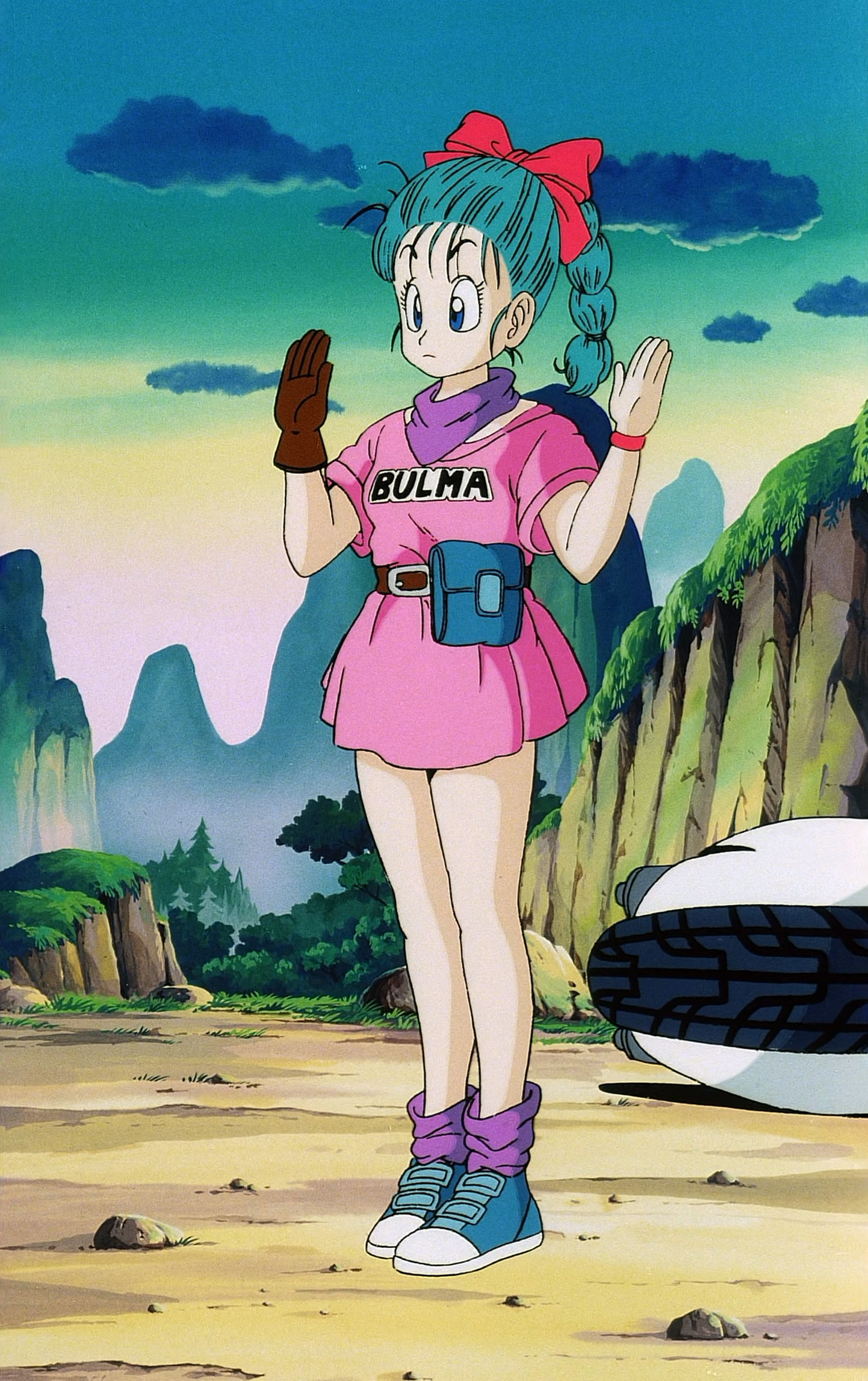 Bulma Dragon Ball Wiki Fandom Powered By Wikia 3263