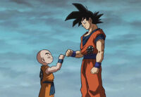 Goku y Krillin mejores amigos