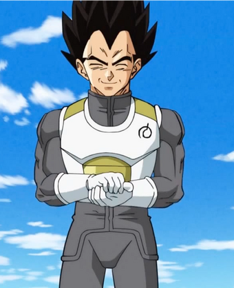 Vegeta Dragon Ball Wiki Fandom