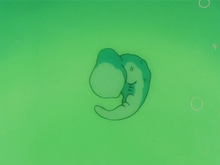Cell presente