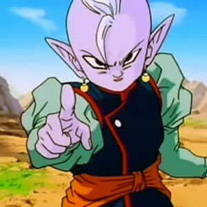 Shin Dragon Ball Wiki Fandom