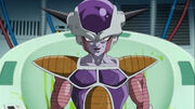Freezer risorto