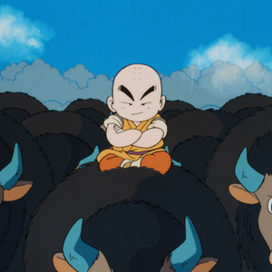 Dragon Ball Sleeping Princess In Devil S Castle Dragon Ball