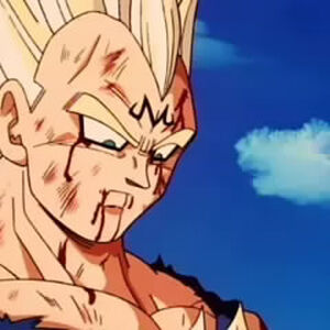 Final Atonement Dragon Ball Wiki Fandom
