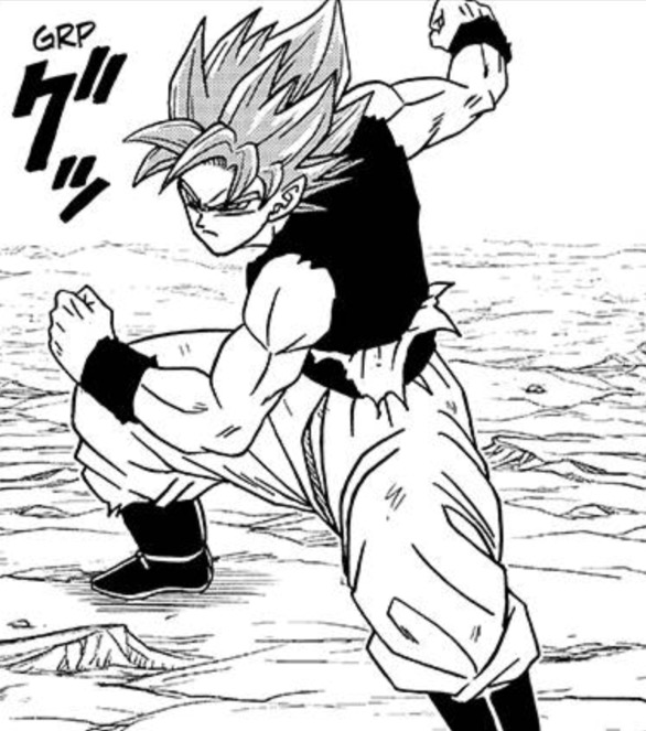 perfected-super-saiyan-blue-dragon-ball-wiki-fandom-powered-by-wikia