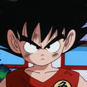 The Spirit Cannon Dragon Ball Wiki Fandom