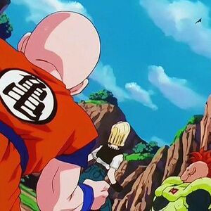 The Last Defense Dragon Ball Wiki Fandom