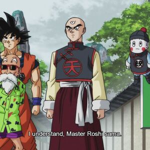 A Mysterious Beauty Appears The Enigma Of The Tien Shin Style Dojo Dragon Ball Wiki Fandom