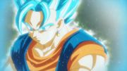 Vegetto1