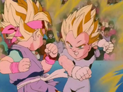 VegetaJr.VsGokuJr.SS