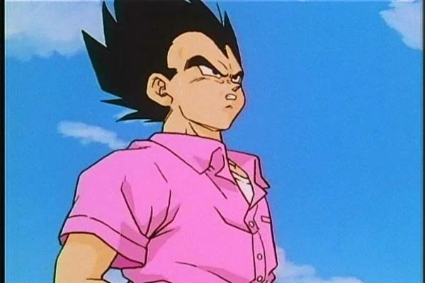 Imagen - Vegeta rosa.jpg | Dragon Ball Fanon Wiki | FANDOM powered by Wikia
