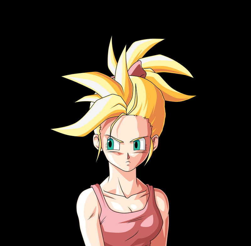 Bulma bra Briefs (DBS.R) | Dragonball Fanon Wiki | FANDOM powered by Wikia