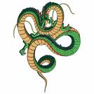 Shenron1