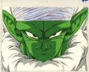 Piccolo1