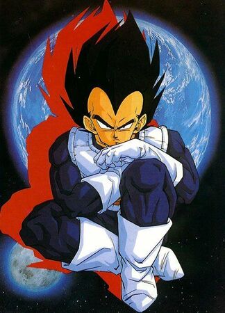 Vegeta TS