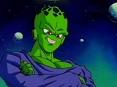Pikkon takes of his weights