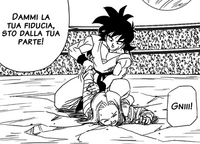 Yamcha C-18