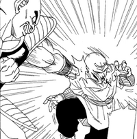 Nappa Cargot