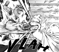 Ub vs Majin Bu