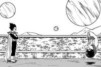 Vegeta Raichi