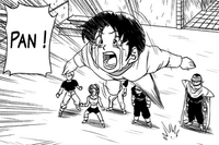 Videl disperata