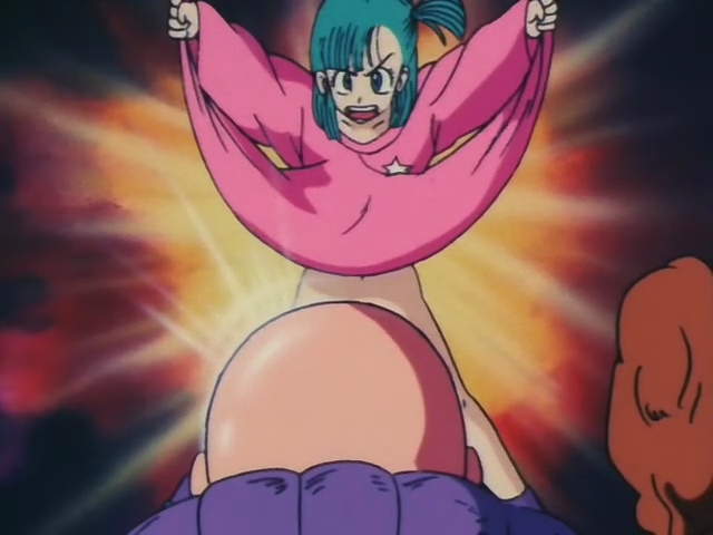 Bulma Brief Dragon Ball Wiki Fandom Powered By Wikia 