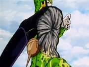 CellsBody