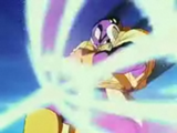 SlugBarrier